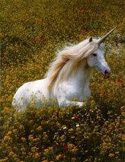 Unicornio.jpg