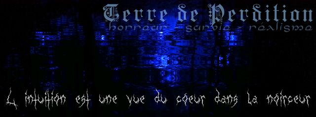 Fichier:Intuition.jpg