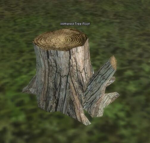 File:WhitheredTreeRoot.jpg