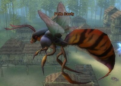 Petite Sawfly