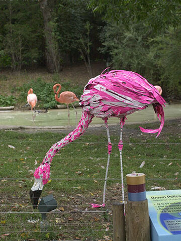 File:A LAWN FLAMINGO!.jpg