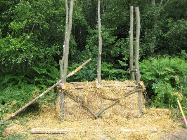 File:Treebog4.jpg