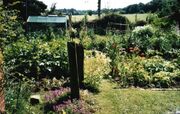 Veggarden