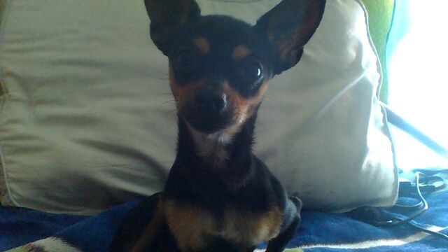 Archivo:Picture001.jpg