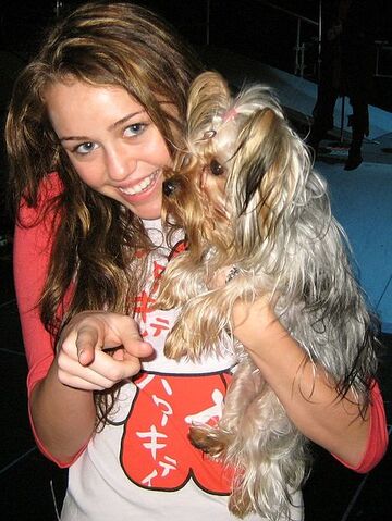 File:451px-Miley Cyrus crop.jpg