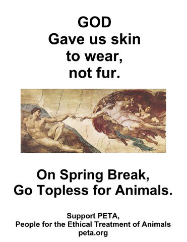 File:PETA God skin big.jpg