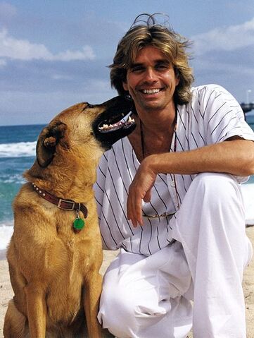 File:451px-Alex Pacheco (PETA) (2).jpg