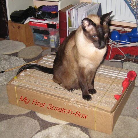 File:Scratchbox1.jpg