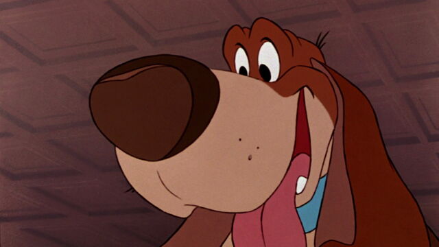 File:Toby.jpg