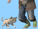 Mr Mcgregor S Cat Name Mr Mcgregor S Cat Name