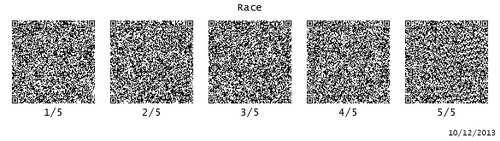Race