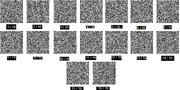 QR-DSOSXV4.4