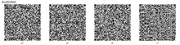 Maze Daze QR
