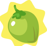 HG-Coconut