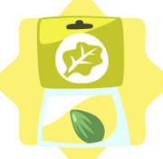 Vegetable-Seed