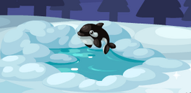 Wwpond2