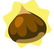 Homegrown Chestnut