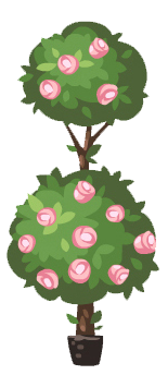 Double pink rose topiary