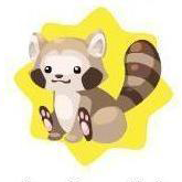 Happy raccoon plushie