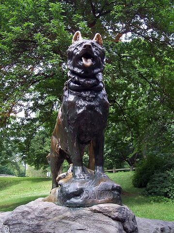 File:449px-Balto.jpg