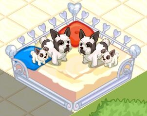 Frenbulltzu