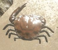 Crab2