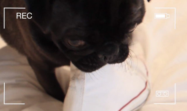 File:Edgar shoe.png