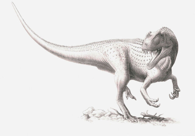 File:Ceratosaurus.jpg