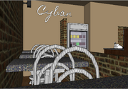 Cybans