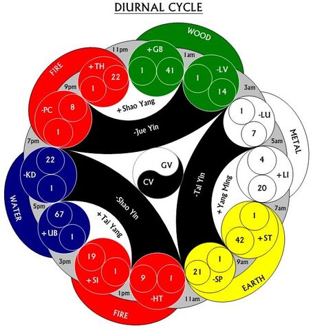 檔案:FiveElementsDiurnalCycle.jpg