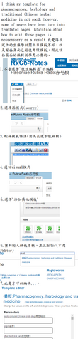 檔案:Wikipedia第二次使用模板.png
