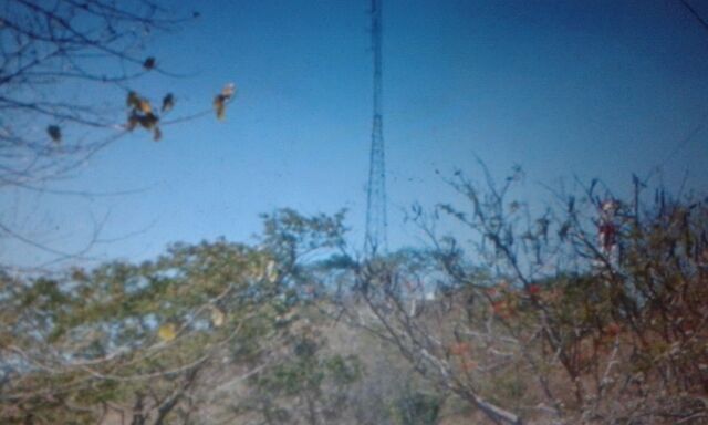 File:DWBM-FM 105.1 Transmitter.jpg