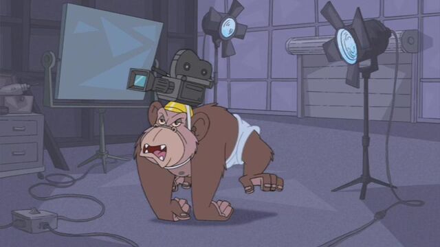 File:Monkey-cam.jpg