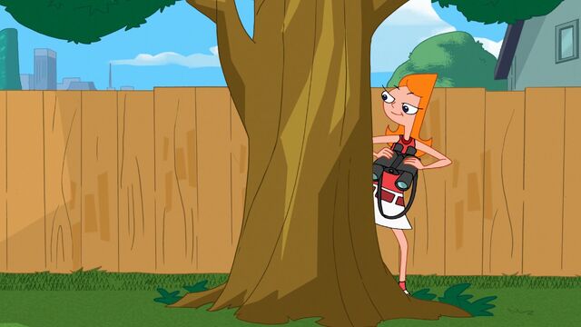 File:Candace Flynn behind a tree with binoculars.jpg