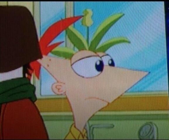 File:Phineas with a frown.jpg