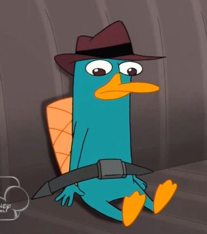 File:Seat belt perry.jpg