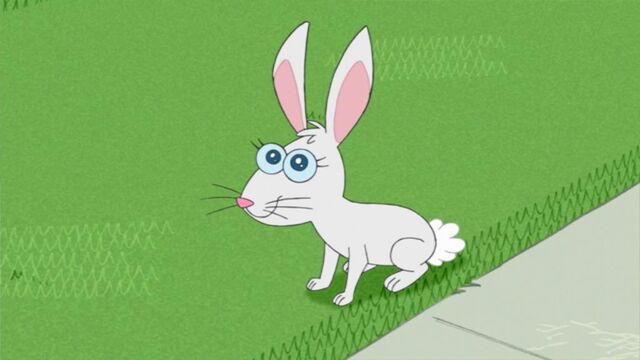 File:Dennis the Rabbit.jpg