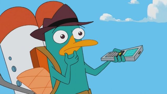 File:Puzzled Perry.jpg