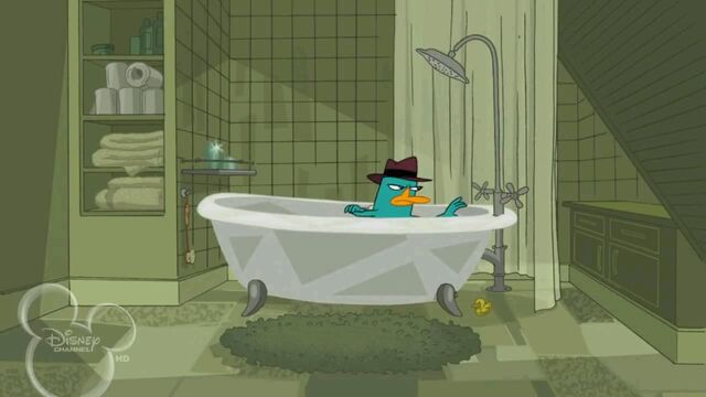 File:Perry in the tub.jpg