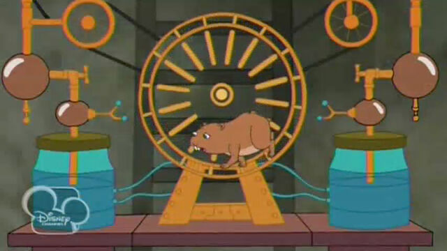 File:HamsterSlowingDown.jpg