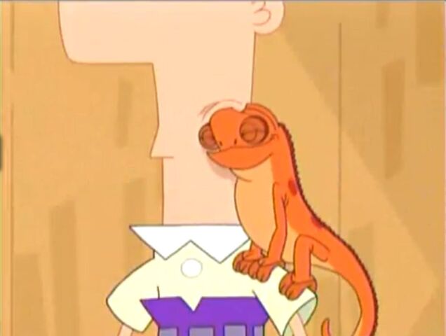 Tập tin:Steve.jpg