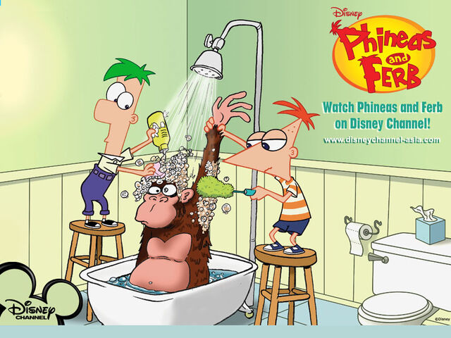 Tập tin:PF monkey shower wallpaper.jpg