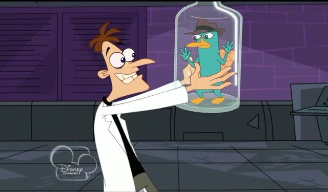 File:Bottled perry.jpg