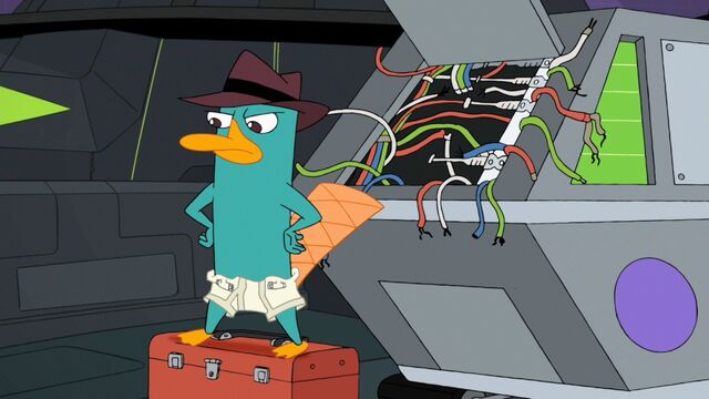 File:Perry in underwear.jpg