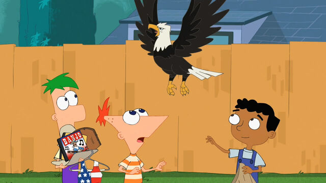 File:Bald Eagle.jpg