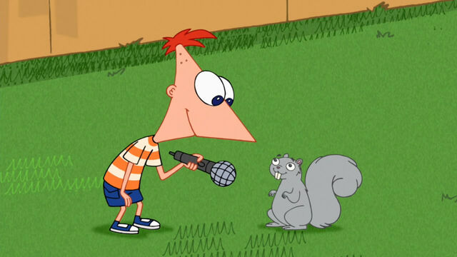 File:Squirrel Interview.jpg