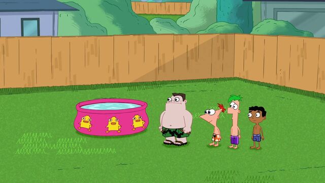 File:Ducky Momo wading pool.jpg