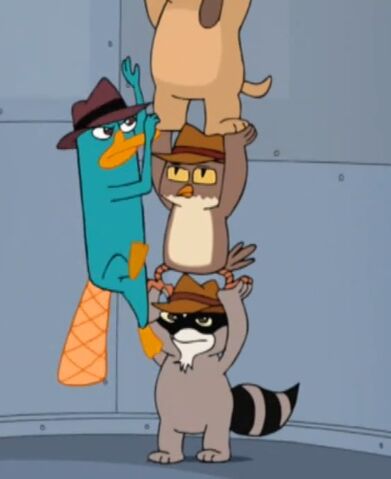 File:Animal ladder.jpg