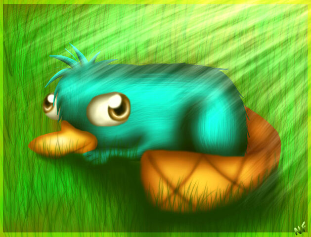 File:Perry, by Honeysucle10.jpg