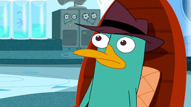 File:322a - Confused Perry.jpg